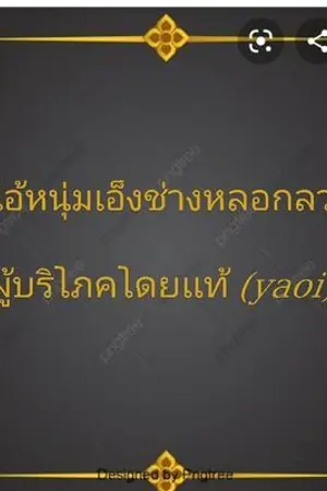 ปกนิยาย