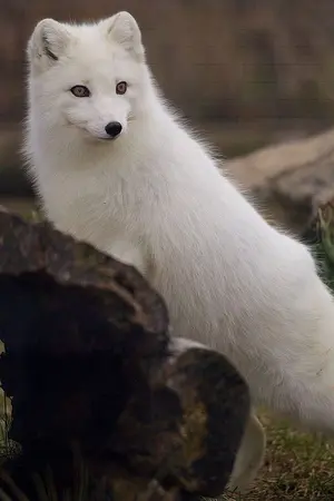 ปกนิยาย ชีวิตที่แสนน่าเบื่อกับการเอาตัวรอดกับซอมบี้กลายพันธุ์