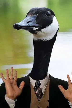 ปกนิยาย Fic Harry Potter || The Miraculous Wizard [TMR/OC,Yaoi]