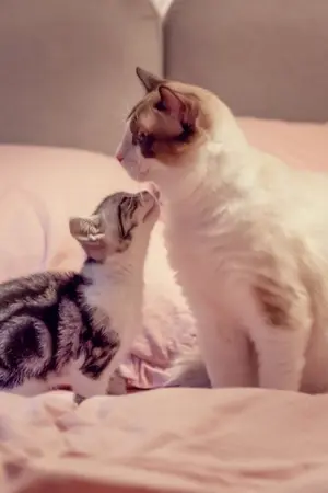 ปกนิยาย รักฟูมฟัก