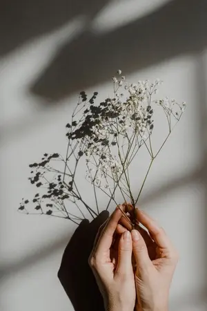 ปกนิยาย Cutter Flower #คัตเตอร์มาร์คมิน