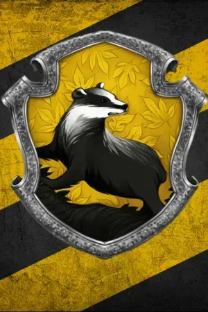 ปกนิยาย [ BTS ] Hufflepuff 's side (vhope kookmin namjin) BL*YAOI
