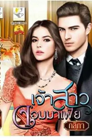 ปกนิยาย