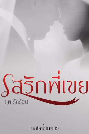 ปกนิยาย รสรักพี่เขย