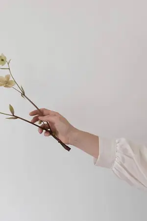 ปกนิยาย ❥ ❀ V I C TO RY ۩ *CLose