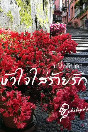 ปกนิยาย