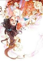 ปกนิยาย ขุนนางสาวพราวเสน่ห์ MEI GONGQING (นิยายจีนแปล)