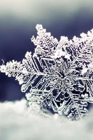 ปกนิยาย END [GOT7]  หิมะฤดูร้อน <incest> (Markbam)