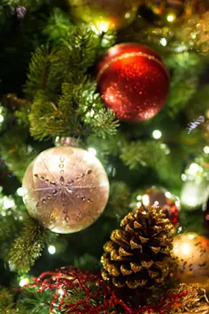 ปกนิยาย [OS] I'm Your Santa [Exy x Seola]