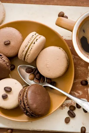 ปกนิยาย loneee