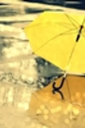 ปกนิยาย Rainy day