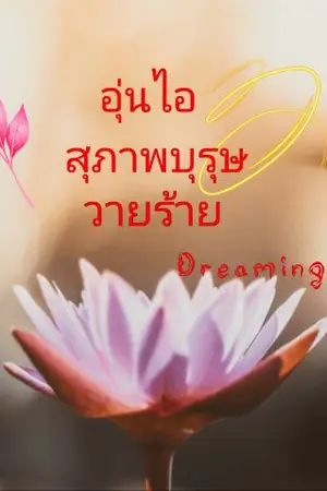 ปกนิยาย