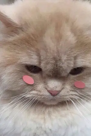 ปกนิยาย os/sf เพราะความขี้ชิปไม่เข้าใครออกใคร