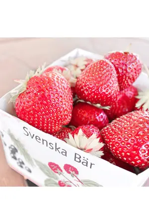 ปกนิยาย สตรอว์เบอร์รี่ในฤดูร้อน