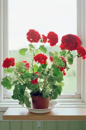 ปกนิยาย [ OS ] "Look back"   Minhwan | EDN