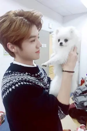 ปกนิยาย ขายนิยาย ขายฟิค exo hunhan และของสะสมอื่นๆ