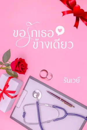 ปกนิยาย