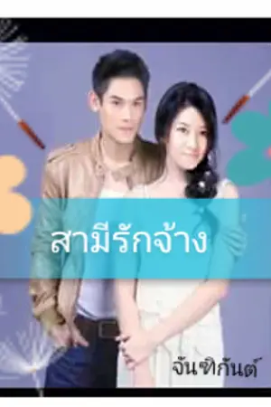 ปกนิยาย