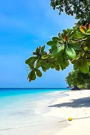 ปกนิยาย เพียงใจ นี้ มีเธอ