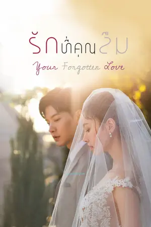 ปกนิยาย รักที่คุณลืม - Your Forgotten Love