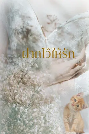 ปกนิยาย ฝากไว้ให้รัก