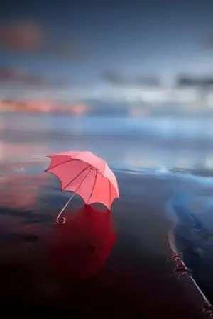 ปกนิยาย เราจบกันด้วยดีแม้ต้องมีน้ำตาระหว่างทาง