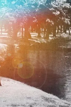 ปกนิยาย Before i meet you #จาร์ควันอาทิตย์