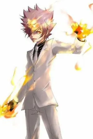 ปกนิยาย (fic reborn)นิยาย รักนี้เมื่อบังคับ