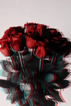 ปกนิยาย {BTS} อาทิตย์ของลมหนาว (KookJin)