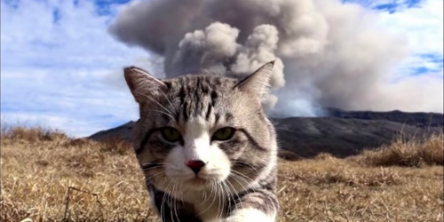 การ์ตูนนนนน