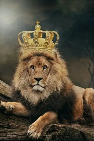 ปกนิยาย ล่าแต้ม #ฟิคล่าแต้มชบ