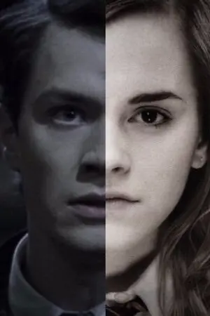 ปกนิยาย Fic Harry Potter [ ทอม ริดเดิ้ล & เฮอร์ไมโอนี่] วันคืนที่หวนกลับ