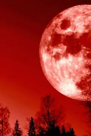 ปกนิยาย เพลง Thaiver ที่แต่งเอง