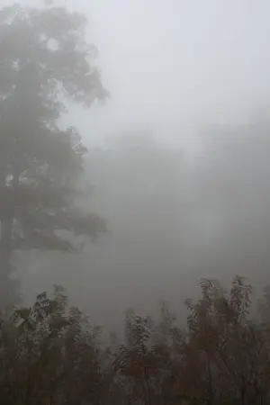 ปกนิยาย (caccia) ในชีวิตประจำวัน