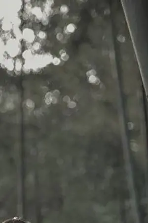 ปกนิยาย เทพเซียนหลงภพ (เยว่อิงจะเป็นดารา)