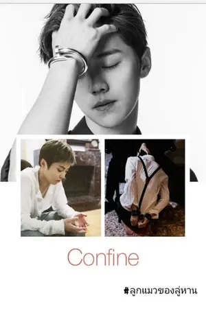 ปกนิยาย Confine ( SF : LuMin)