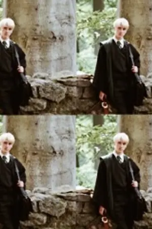 ปกนิยาย ♥︎ maybe (dm/hp) draco x harry