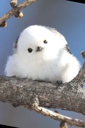 ปกนิยาย วันๆของคุณก้อน