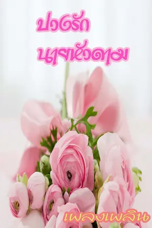 ปกนิยาย บ่วงรักนายหัวดาม
