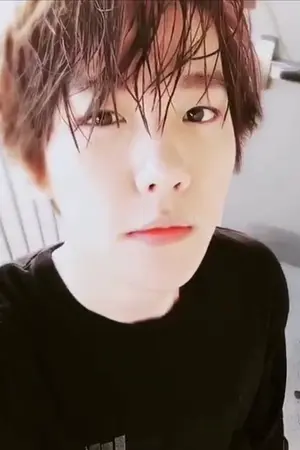 ปกนิยาย [EXO]ชานแบคเจ็บ_ฮุนฮานก็เจ็บ