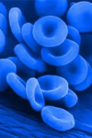 ปกนิยาย BAD BLOOD [JACKBAM]