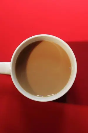 ปกนิยาย red and coffee flavour.