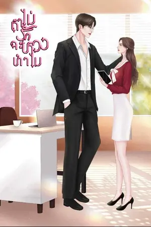 ปกนิยาย