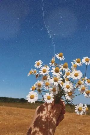 ปกนิยาย [GOT7] B HAPPY