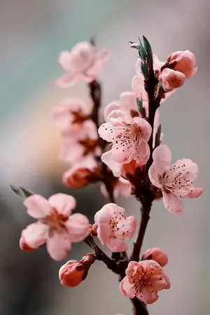 ปกนิยาย สวรรค์! ท่านส่งข้ามาที่นี่ทำไมกัน (Markbam)