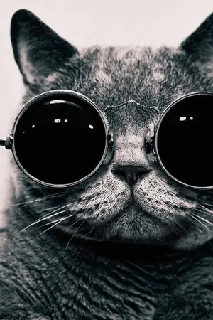 ปกนิยาย เลห์รักพักใจนายมาเฟีย