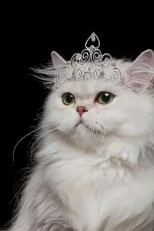 ปกนิยาย ❥ HUNHAN | Something about us