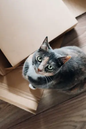 ปกนิยาย {seventeen} OS MINWON BOX