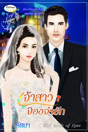 ปกนิยาย