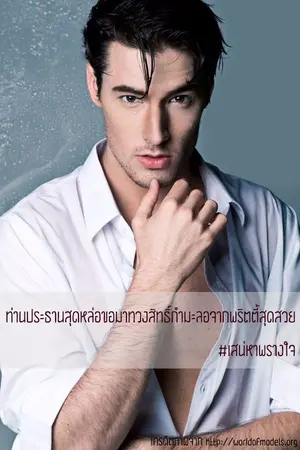 ปกนิยาย เสน่หาพรางใจ